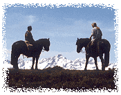 Randonn&eacute;e &agrave; cheval en montagne