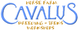 Ferme Equestre Cavalus - randonn&eacute;es &agrave; cheval