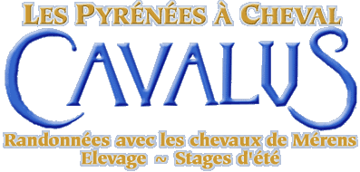 CAVALUS Les Pyr&eacute;n&eacute;es &agrave; cheval