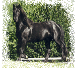 Le cheval de M&eacute;rens