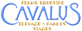 Ferme Equestre Cavalus - randonn&eacute;es &agrave; cheval